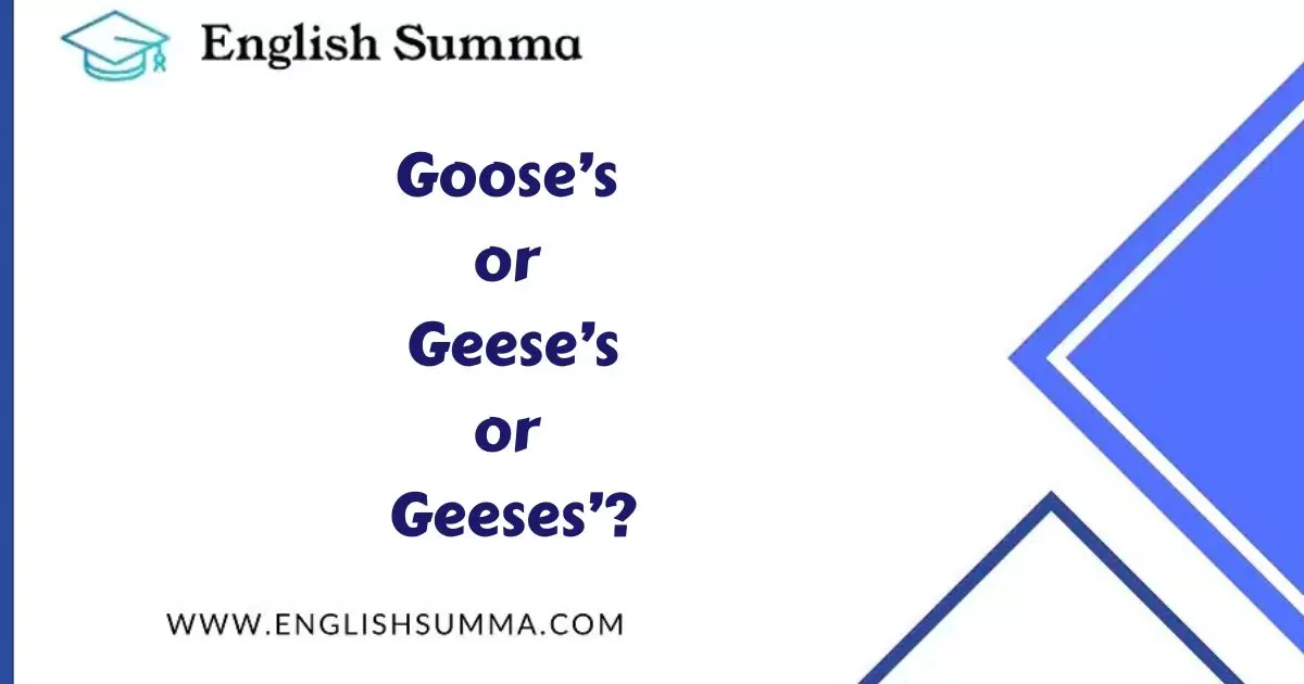 Goose’s, Geese’s, or Geeses