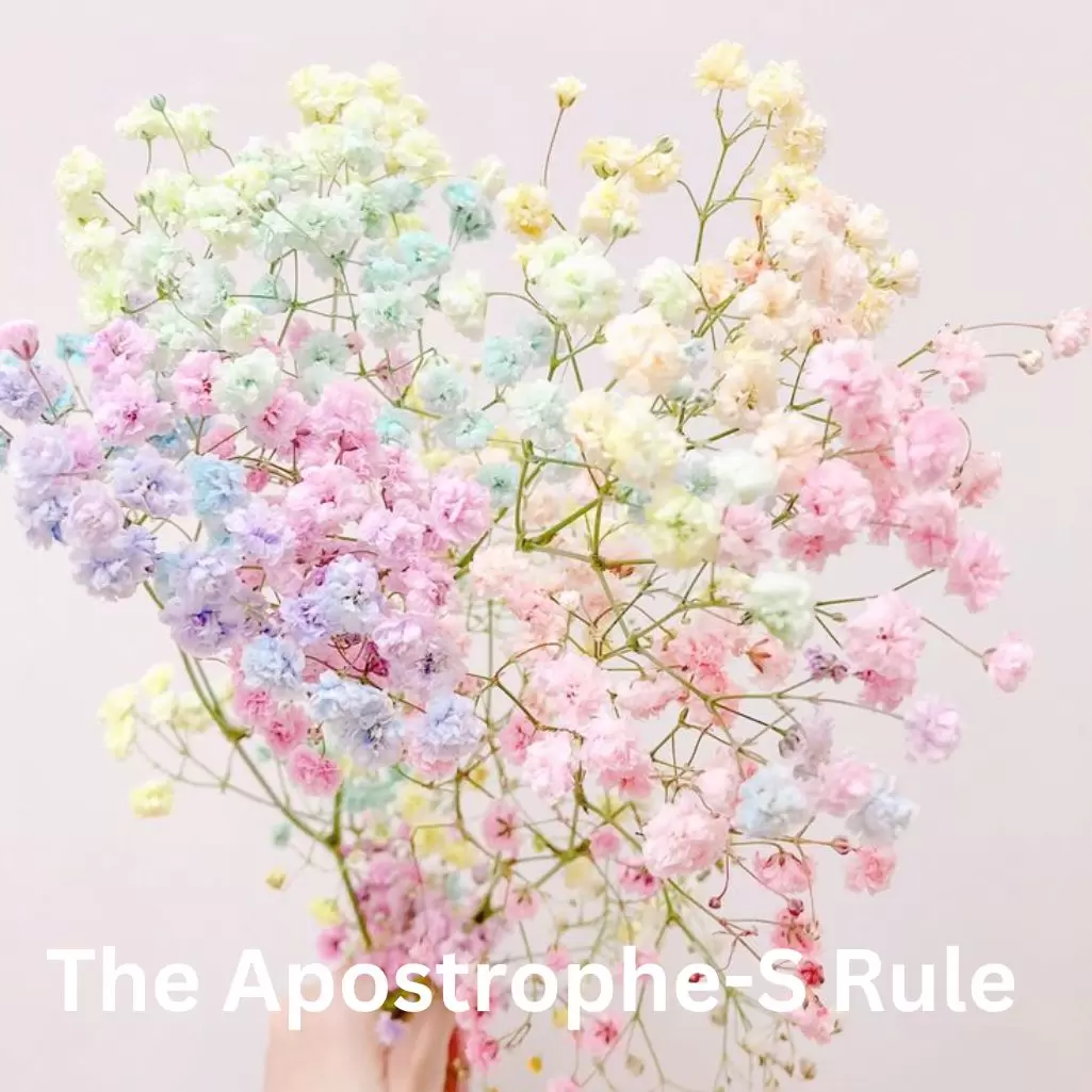 The Apostrophe-S Rule